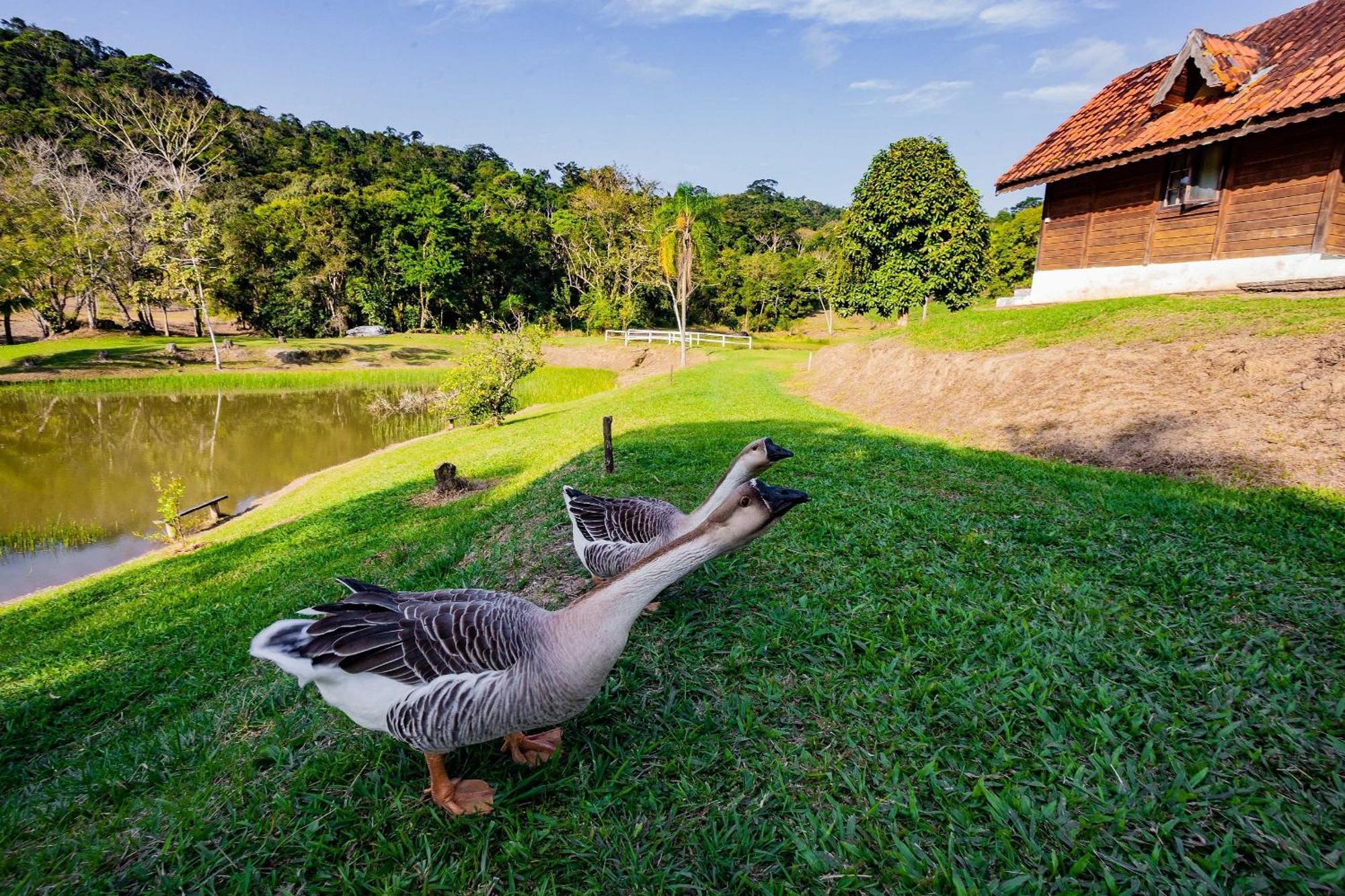 Chalet Recanto Aguas - No Meio Da Mata Atlantica
