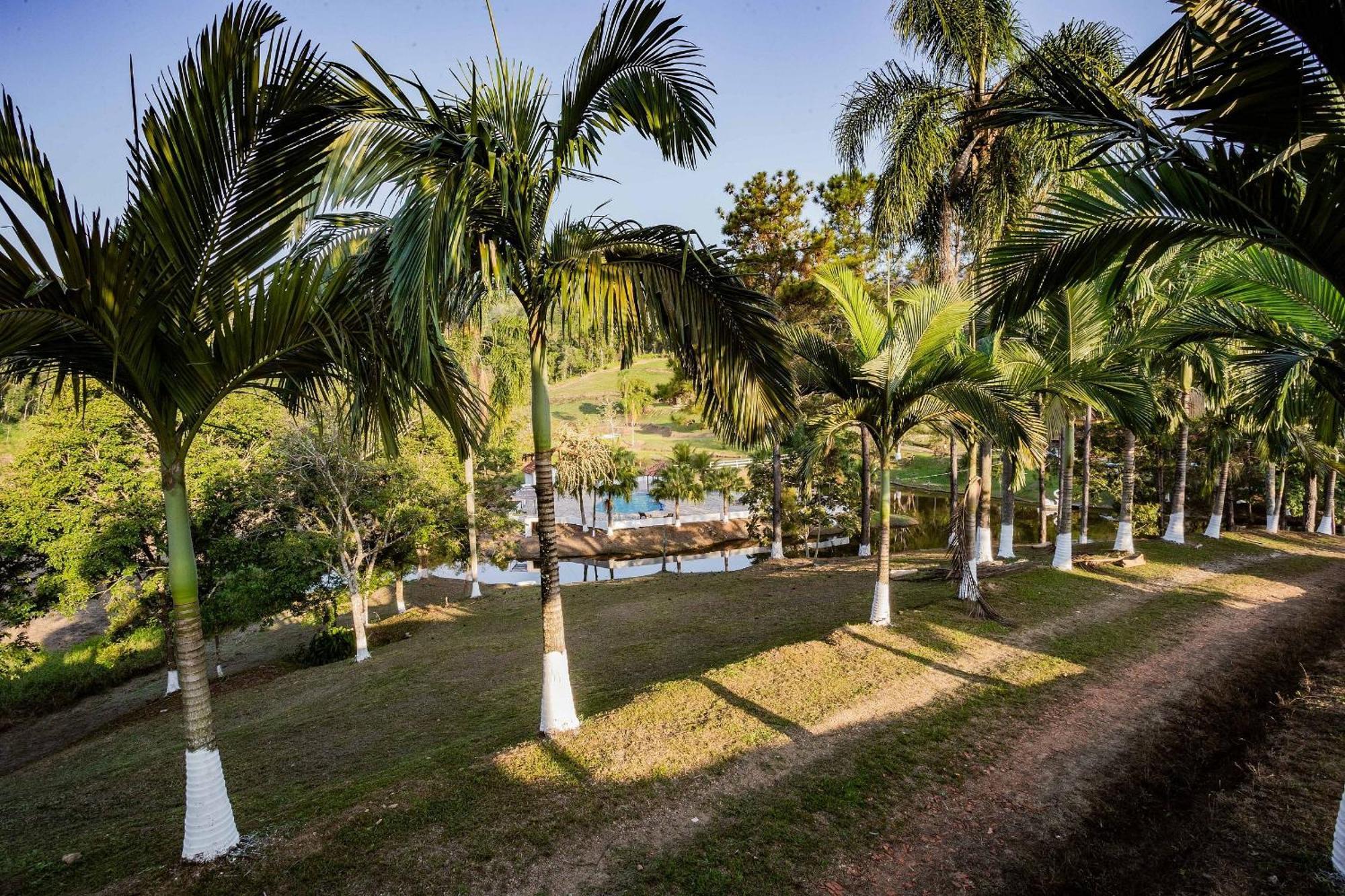 Recanto Aguas - No Meio Da Mata Atlantica Chalet